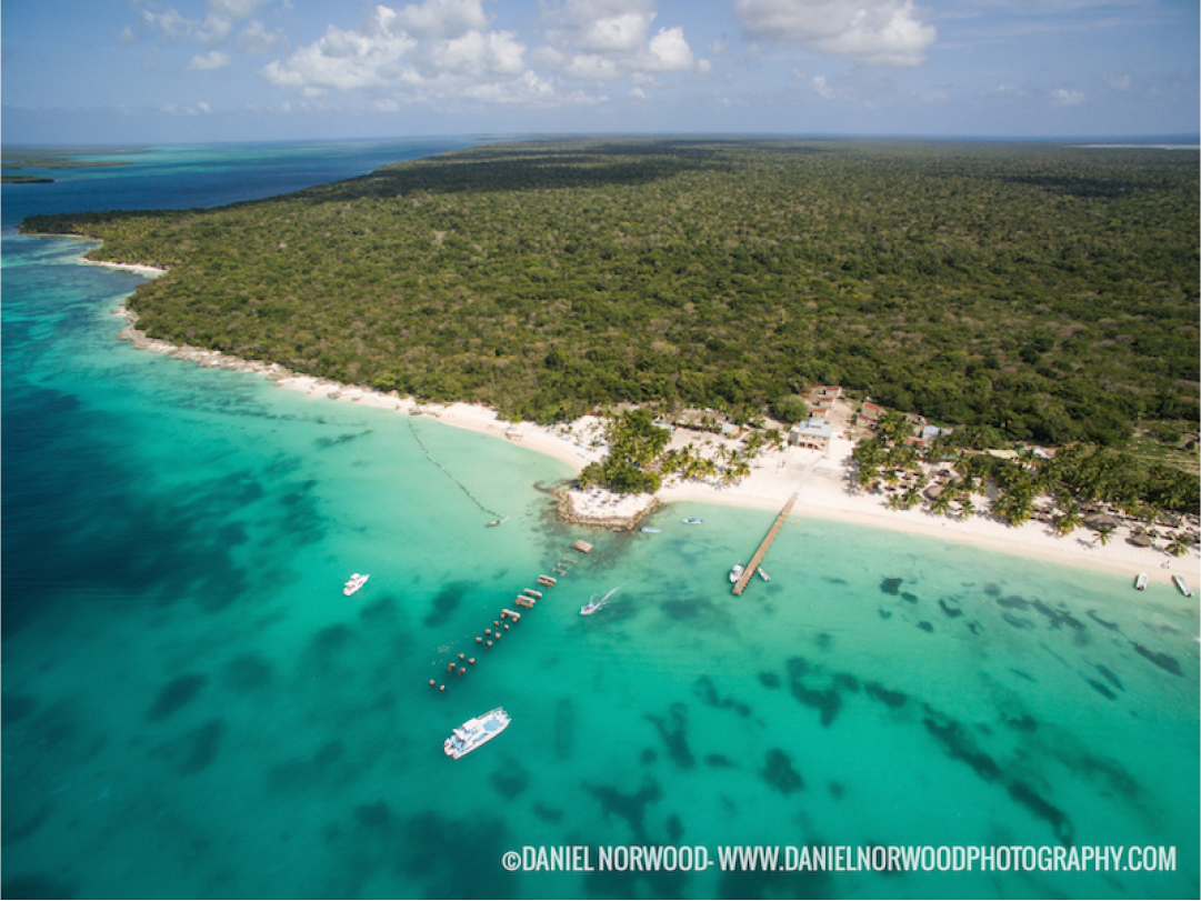 Saona Island - Best Dive & Snorkel Charter Option