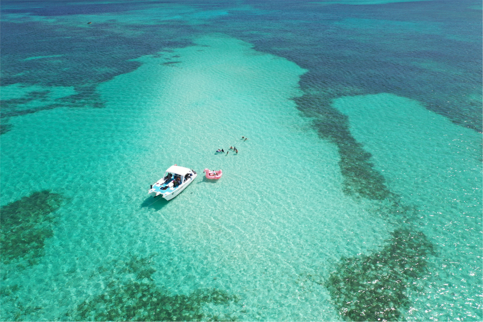 Starfish Cay - The Perfect Half Day Charter