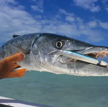 Private Fishing Charter