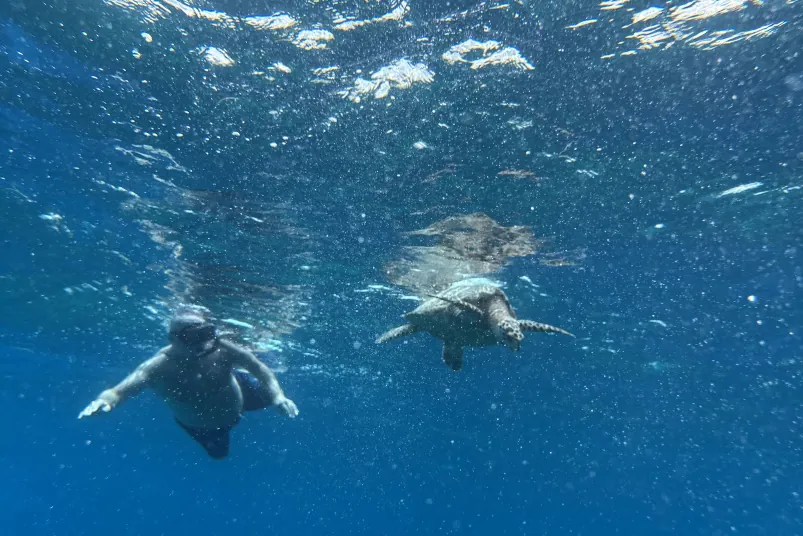 Private snorkeling charter near Bayahibe reef and shipwreck